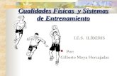 Cualidades Físicas y Sistemas de Entrenamiento I.E.S. ILÍBERIS Por: Gilberto Moya Horcajadas.