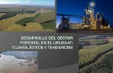 Marco Legal Uruguayo para la Forestación Ley Nº 14.178: Ley de Promoción Industrial Ley Nº 15.939: Ley Forestal Ley Nº 16.906: Interés Nacional, Promoción.