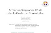 Objetivos: Practicar los conceptos de calculo de dosis armando un simulador 2D de calculo de dosis con un modo pencil beam + una función simple de convolution.