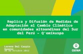 Replica y Difusión de Medidas de Adaptación al Cambio Climático en comunidades altoandinas del Sur del Perú – Qemikuspa Lorena Del Carpio Suarez 30 de.