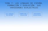 TEMA 7: LAS LENGUAS DE ESPAÑA. FORMACIÓN Y EVOLUCIÓN. SUS VARIEDADES DIALECTALES LAS LENGUAS DE ESPAÑA FORMACIÓN Y EVOLUCIÓN VARIEDADES DIALECTALES.