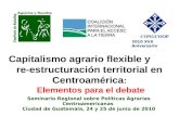 Capitalismo agrario flexible y re-estructuración territorial en Centroamérica : Elementos para el debate Seminario Regional sobre Políticas Agrarias Centroamericanas.
