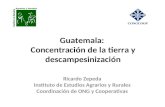 Guatemala: Concentración de la tierra y descampesinización Ricardo Zepeda Instituto de Estudios Agrarios y Rurales Coordinación de ONG y Cooperativas.