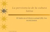 Proyecto Sócrates- Comenius 2003-20041 La pervivencia de la cultura latina El latín en el léxico actual (II): los tecnicismos.