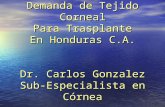 Demanda de Tejido Corneal Para Trasplante En Honduras C.A. Dr. Carlos Gonzalez Sub-Especialista en Córnea.