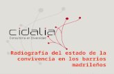 Radiografía del estado de la convivencia en los barrios madrileños Presentación: Helia I. del Rosario.