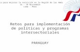 Retos para implementación de políticas y programas intersectoriales PARAGUAY Consulta para mejorar la nutrición en la Región de las Américas 16 – 18 Noviembre.