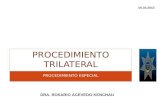 PROCEDIMIENTO ESPECIAL PROCEDIMIENTO TRILATERAL DRA. ROSARIO ACEVEDO KENCHAU 05.03.2013.