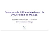Sistemas de Cálculo Masivo en la Universidad de Malaga Guillermo Pérez Trabado Universidad de Málaga.