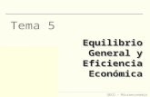 GECO – Microeconomía II Tema 5 Equilibrio General y Eficiencia Económica.