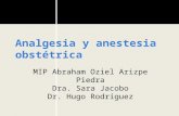 Analgesia y anestesia obstétrica MIP Abraham Oziel Arizpe Piedra Dra. Sara Jacobo Dr. Hugo Rodríguez.