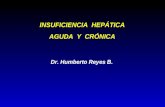Dr. Humberto Reyes B. INSUFICIENCIA HEPÁTICA AGUDA Y CRÓNICA.