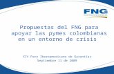 Propuestas del FNG para apoyar las pymes colombianas en un entorno de crisis XIV Foro Iberoamericano de Garantías Septiembre 11 de 2009.