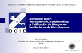 Seminario Taller: Transparencia, Benchmarking y Calificación de Riesgos en Instituciones de Microfinanzas Sergio Avilés Unidad de Micro, Pequeña y Mediana.