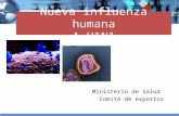 Nueva influenza humana A H1N1 Ministerio de Salud Comité de expertos.
