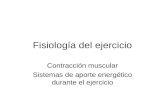 Fisiología del ejercicio Contracción muscular Sistemas de aporte energético durante el ejercicio.
