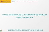 Subdirección General de Penas y Medidas Alternativas CURSO DE VERANO DE LA UNIVERSIDAD DE GRANADA CAMPUS DE MELILLA CIUDAD AUTÓNOMA DE MELILLA, 22-26 de.