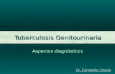 Tuberculosis Genitourinaria Aspectos diagnósticos Dr. Fernando Osorio.