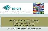 Asociación Petroquímica y Química Latinoamericana PNUMA – Taller Regional APELL 29-30 de Noviembre 2010 Buenos Aires - Argentina GRACIELA J. GONZÁLEZ ROSAS.