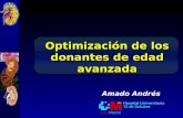 Optimización de los donantes de edad avanzada Amado Andrés.