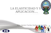 LA ELASTICIDAD Y SU APLICACION…. Msc. Javier Carlos Inchausti Gudiño 2012.