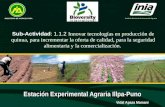 Estación Experimental Agraria Illpa-Puno MINISTERIO DE AGRICULTURA Instituto Nacional de Innovación Agraria Vidal Apaza Mamani Sub-Actividad: 1.1.2 Innovar.