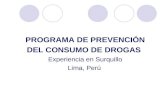 PROGRAMA DE PREVENCIÓN DEL CONSUMO DE DROGAS Experiencia en Surquillo Lima, Perú