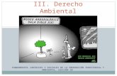 FUNDAMENTOS JURÍDICOS Y SOCIALES DE LA ORDENACIÓN TERRITORIAL Y AMBIENTAL, LECCIÓN 10 III. Derecho Ambiental.