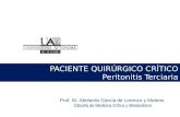 Prof. Dr. Abelardo García de Lorenzo y Mateos Cátedra de Medicina Crítica y Metabolismo PACIENTE QUIRÚRGICO CRÍTICO Peritonitis Terciaria.