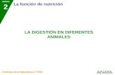 UNIDAD 2 La función de nutrición Ciencias de la Naturaleza 2.º ESO LA DIGESTIÓN EN DIFERENTES ANIMALES.