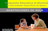Respuesta Educativa al Alumnado con Necesidades Específicas de Apoyo Daniel González Manjón Deptº de Psicología, UCA ADAPTACIONES DE AULA.
