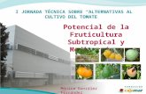 I JORNADA TÉCNICA SOBRE ALTERNATIVAS AL CULTIVO DEL TOMATE I JORNADA TÉCNICA SOBRE ALTERNATIVAS AL CULTIVO DEL TOMATE Potencial de la Fruticultura Subtropical.