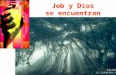Job y Dios se encuentran Diseño: JL Caravias sj. El Dios alejado e incomprensible acepta el desafío de Job… Se le presenta en medio de la tormenta. Le.