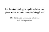 La biotecnología aplicada a los procesos minero-metalúrgicos Dr. José Luz González Chávez Fac. de Química.