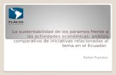 La sustentabilidad de los páramos frente a las actividades económicas: análisis comparativo de iniciativas relacionadas al tema en el Ecuador. La sustentabilidad.