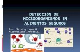 Esp. Claretzy López M Microbióloga Industrial. DETECCIÓN DE MICROORGANISMOS EN ALIMENTOS SEGUROS El examen microbiológico de los alimentos y sus ingredientes.