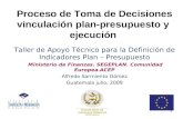1 Proceso de Toma de Decisiones vinculación plan-presupuesto y ejecución Taller de Apoyo Técnico para la Definición de Indicadores Plan – Presupuesto Ministerio.