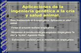 Aplicaciones de la ingeniería genética a la cría y salud animal. Bases fundamentales de la terapia génica. Aplicaciones en salud animal. -Formas de actuación.