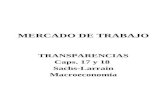 MERCADO DE TRABAJO TRANSPARENCIAS Caps. 17 y 18 Sachs-Larrain Macroeconomía.