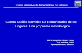 1 Curso Intensivo de Estadísticas de Género Cuenta Satélite Servicios No Remunerados de los Hogares. Una propuesta metodológica María Eugenia Gómez Luna.