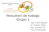 Resumen de trabajo Grupo 1 Inga. Silvia Argueta Dr. Eudoro Trejos Agr. Julio del Cid Ing. Erik Alvarado.