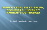 Dr. Raúl Humberto Loya Luna.. Constitución Política de los Estados Unidos Mexicanos Ley Federal del Trabajo Reglamento Federal de Seguridad, Higiene y.