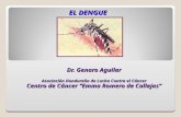 EL DENGUE Dr. Genaro Aguilar Asociación Hondureña de Lucha Contra el Cáncer Centro de Cáncer Emma Romero de Callejas 1.