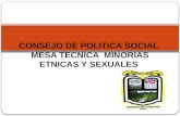 CONSEJO DE POLITICA SOCIAL MESA TECNICA MINORIAS ETNICAS Y SEXUALES.