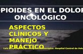 OPIOIDES EN EL DOLOR ONCOLÓGICO ASPECTOS CLÍNICOS Y MANEJO PRÁCTICO Luis Olay Gayoso; Oncología Radioterápica. Hospital Central de Asturias.