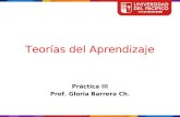 Teorías del Aprendizaje Práctica III Prof. Gloria Barrera Ch.