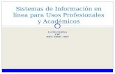 LLUÍS CODINA UPF IDEC ABRIL 2009 Sistemas de Información en línea para Usos Profesionales y Académicos.