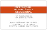DR. DANIEL ZUÑIGA DRA. ELLY GUERRERO ERNESTO MARTINEZ DE LA MAZA INTERNADO DE PREGRADO HOSPITAL ANGELES DEL PEDREGAL ENFERMEDAD TROFOBLÁSTICA GESTACIONAL.