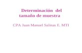 CPA Juan Manuel Salinas E. MTI Determinación del tamaño de muestra.