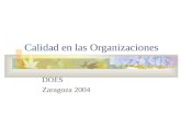Calidad en las Organizaciones DOES Zaragoza 2004.